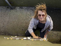 Siel fan Súdwest: “Wil je een tent of een tunnel?”